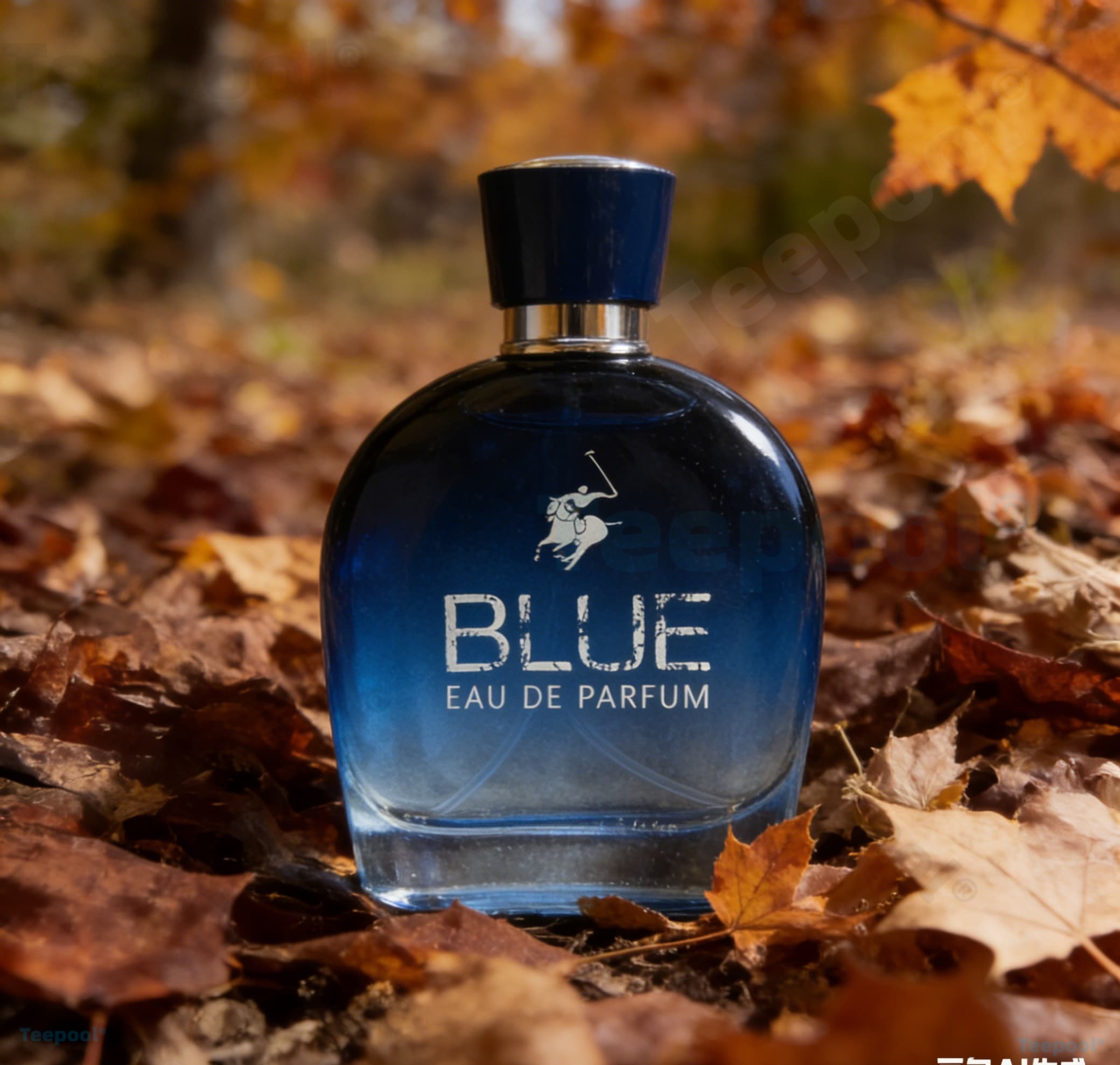 perfume/fragrance，Glamour Men  – обзор и цена Fragrance Perfume Spray