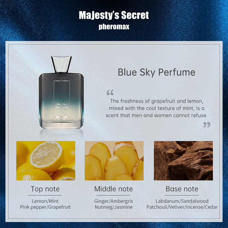 MEN'S FRAGRANCE 100ML WOODY NO – обзор и цена Perfume Aqua Fragrance