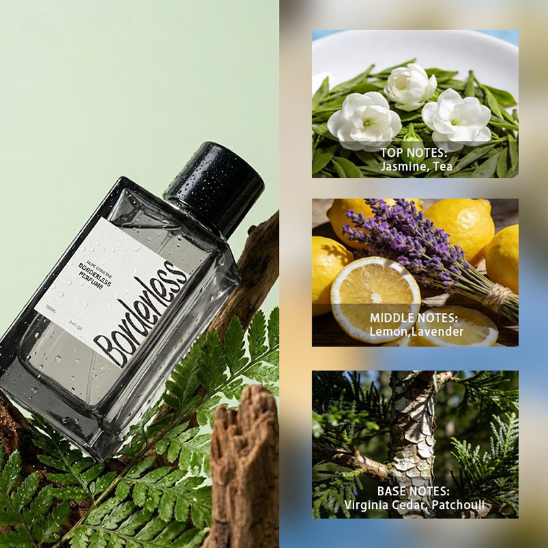 Luxury Borderless Men Perfume  – обзор и цена Perfume Lavender Fragrance
